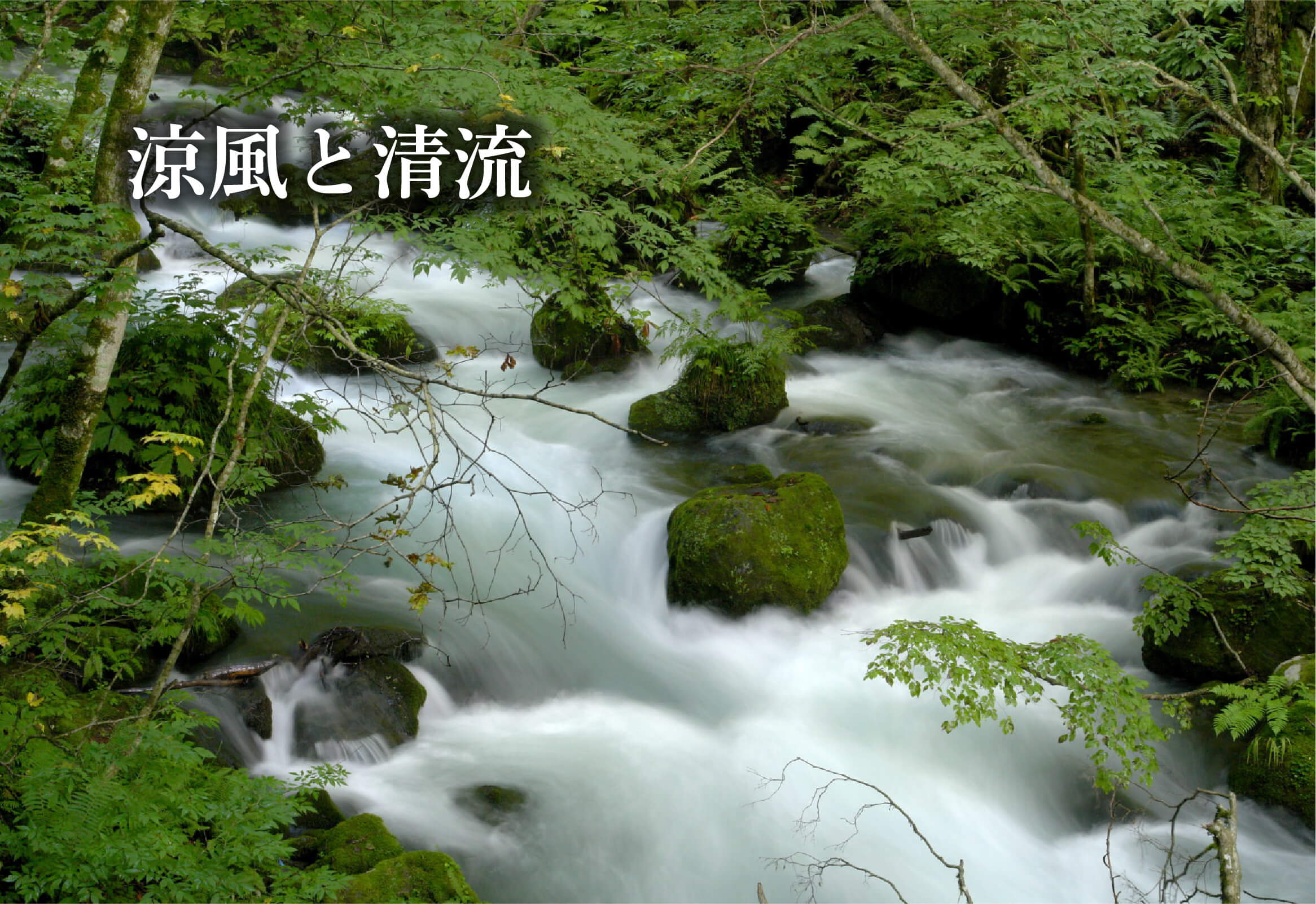 涼風と清流